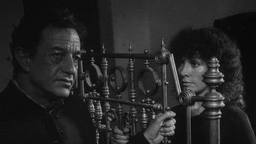 La viuda negra Bild 1