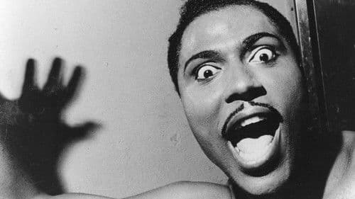 Little Richard: Never Play by the Rules Bild 3