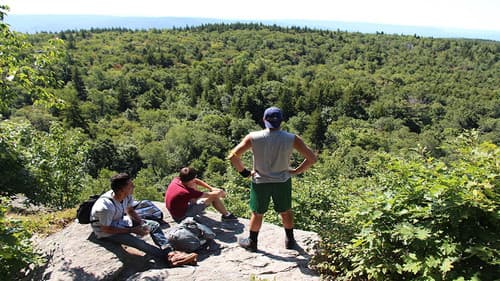 And the Boys Go Bild 2