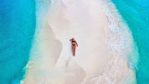 Caribbean Life Bild 2