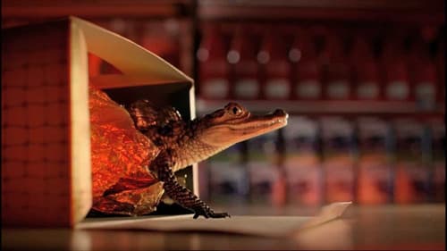 Easter Eggs Live Bild 1