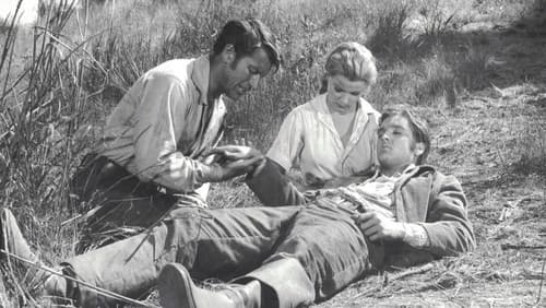 Pulverdampf und heiße Lieder Bild 4