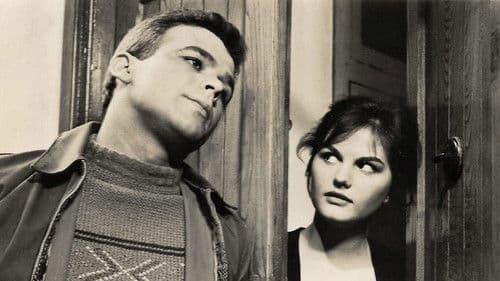 Diebe sind auch Menschen Bild 2