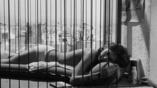 Schrei, wenn Du kannst Bild 7