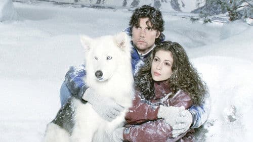 Katastrophe im Eis Bild 2