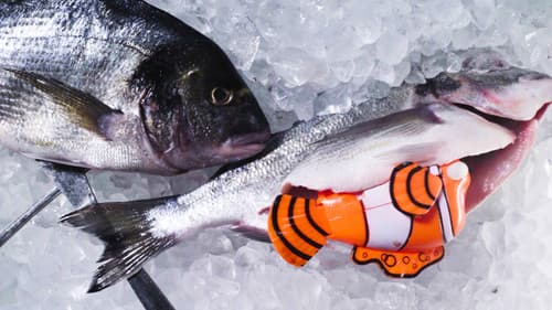 Empty Feet & Fireflies Bild 1