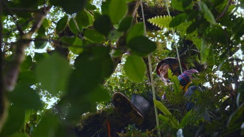 Between Earth & Sky Bild 1