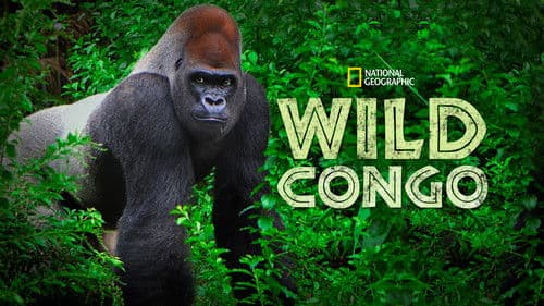 Wild Congo Bild 4