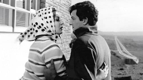 Dişi Örümcek Bild 3