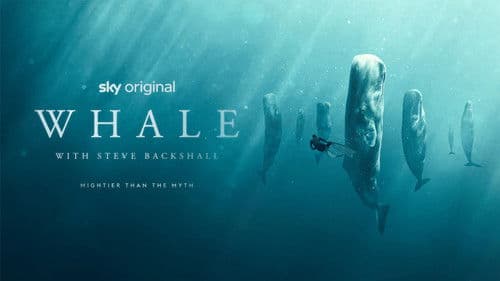 Wale – mit Steve Backshall Bild 3