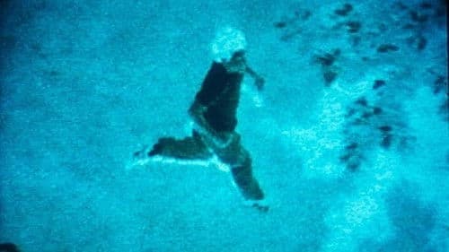 In Order Not to Be Here Bild 2