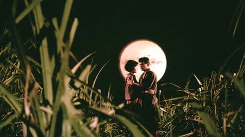 แผลเก่า Bild 1