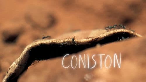 Coniston Bild 1
