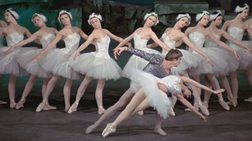 Swan Lake Bild 1