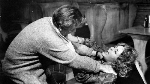 Wer hat Angst vor Virginia Woolf? Bild 5