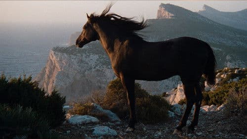 Der schwarze Hengst Bild 7