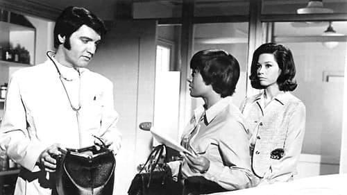 Ein himmlischer Schwindel Bild 3