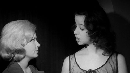 Red Roses of Passion Bild 8