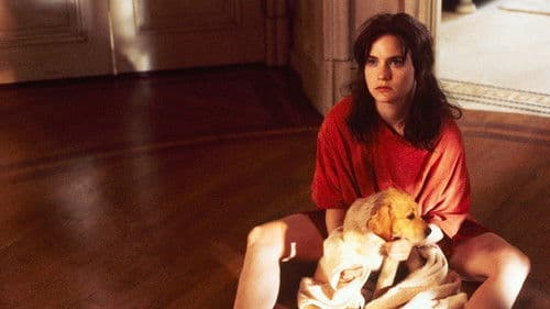 Weiblich, ledig, jung sucht... Bild 4