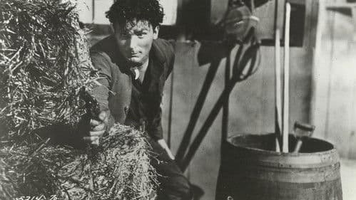 Son of Belle Starr Bild 1