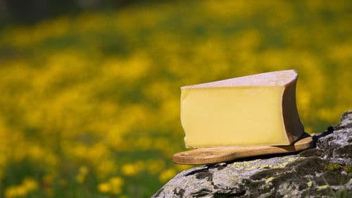 Fromages de montagne, au sommet du gout ? Bild 2