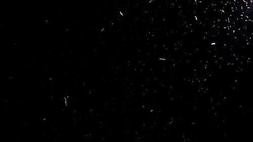 Luces del desierto Bild 4