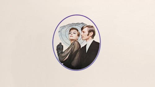 Something for Everyone Bild 6