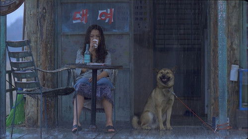 Seom - Die Insel Bild 2