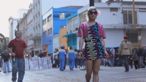 Além das 7 Cores Bild 4