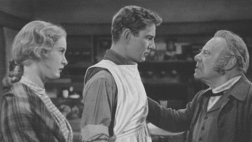 Lassies Heimat Bild 3