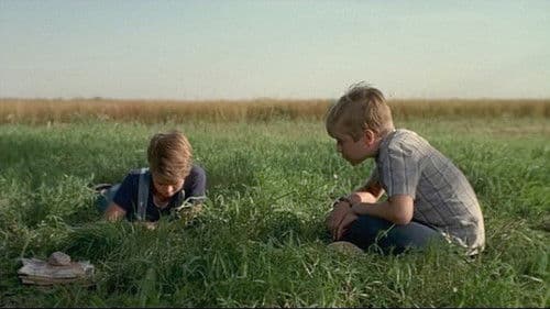 The Nature of Nicholas Bild 1