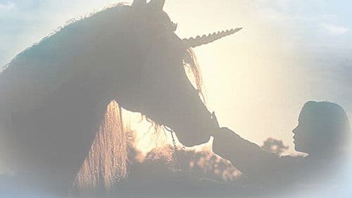 Das letzte Einhorn kehrt zurück Bild 2