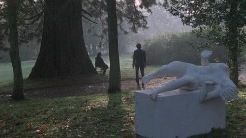 Hühnchen in Essig Bild 4