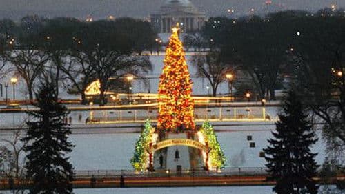 The National Christmas Tree, A Century of Celebration Bild 1