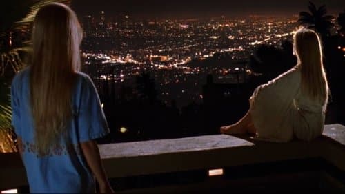 Weißer Oleander Bild 1