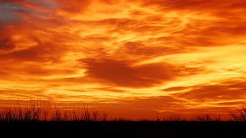 The Junction Boys Bild 1