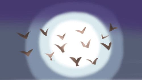 A Child's Garden of Poetry Bild 1