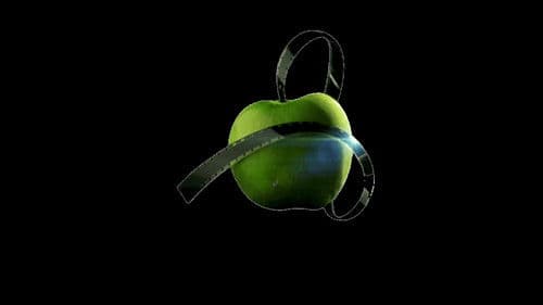 Kung-Fu and Titties Bild 1