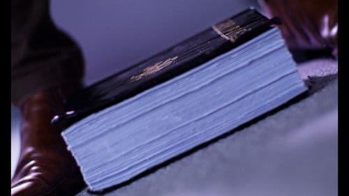 Tolstoy the Delirious Bild 7