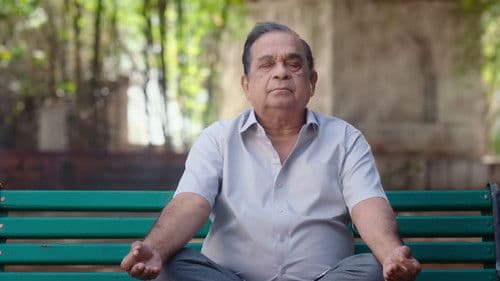 బ్రహ్మా ఆనందం Bild 2