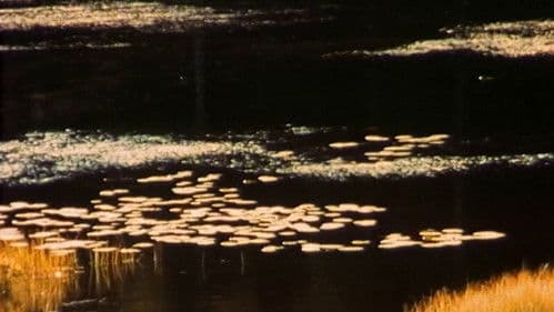 Det speglar i mitt öga Bild 1