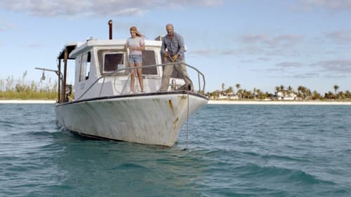 Die Insel der Delfine Bild 6