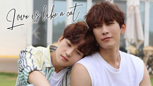 사랑은 고양이처럼 Bild 3