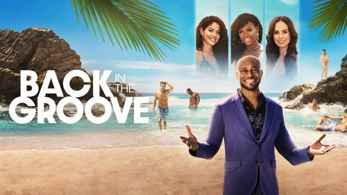 Back in the Groove Bild 2