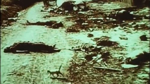 Довженко. Щоденник. 1941-1945 роки Bild 7