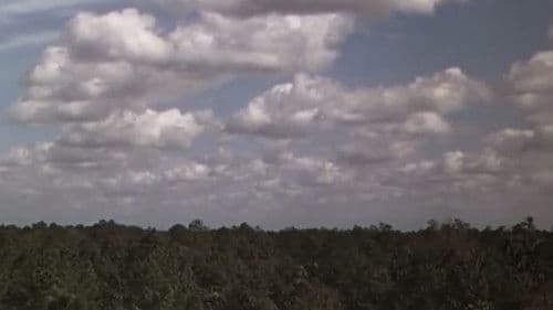 Die Wildnis ruft Bild 2