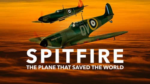 Die Spitfire – Königin der Lüfte Bild 7