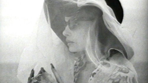 The Houseguest Bild 1