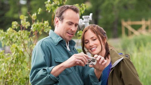 Away and Back - Der Weg der Schwäne Bild 1