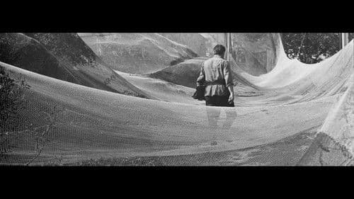 Birželis, vasaros pradžia Bild 2